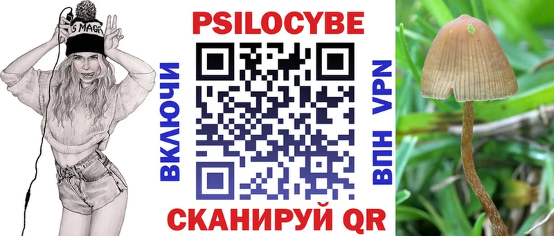 Галлюциногенные грибы Psilocybe  kraken онион  Лобня  наркота 