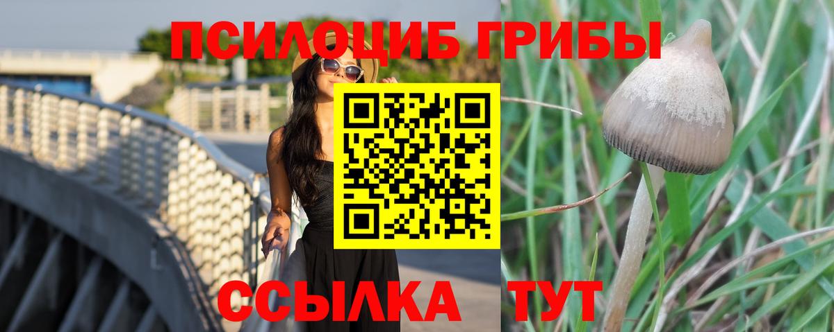 Галлюциногенные грибы мухоморы  наркота  Лобня  Галлюциногенные грибы прущие грибы 